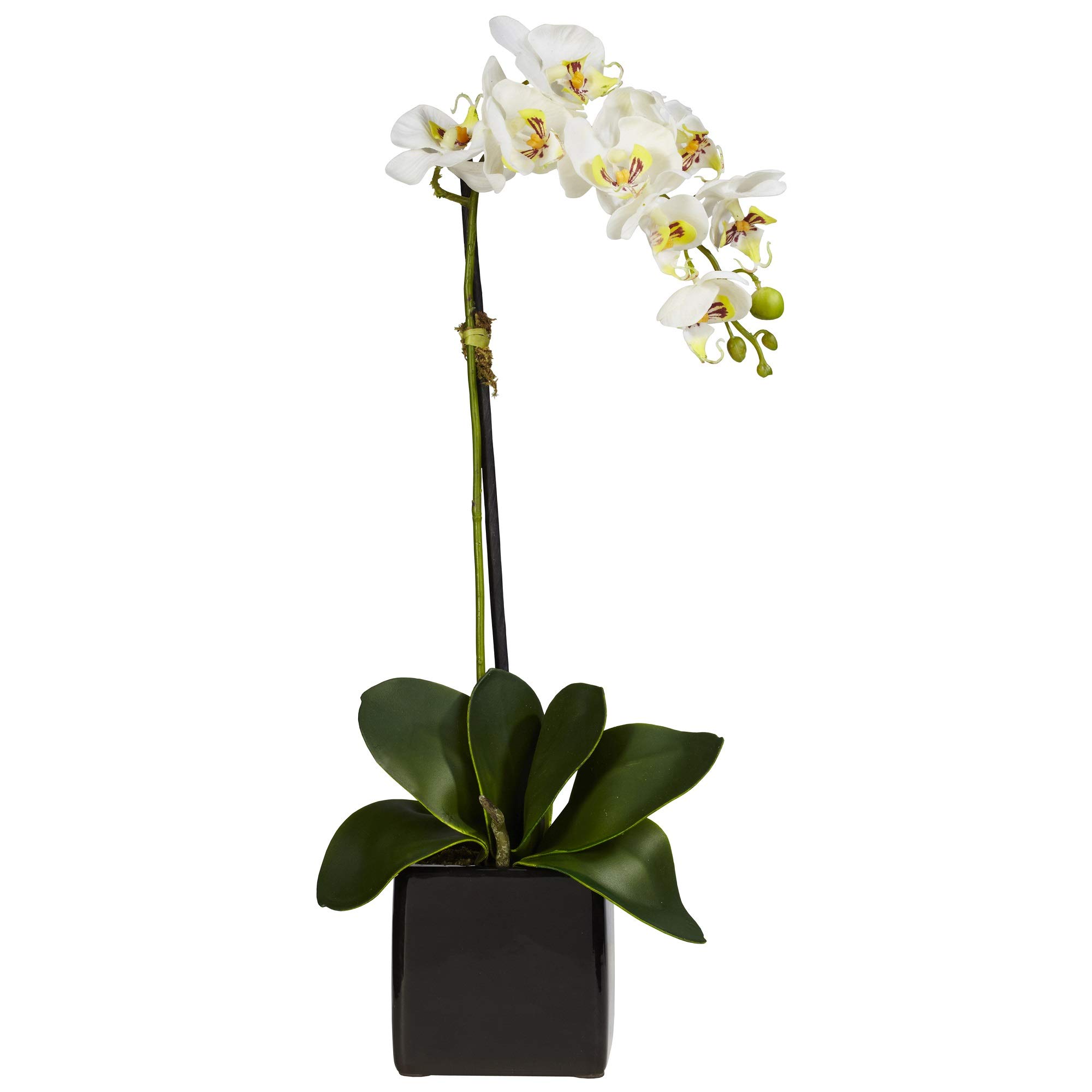 Nearly Natural Künstliches Orchideen-Arrangement in schwarzem Übertopf, 50,8 cm