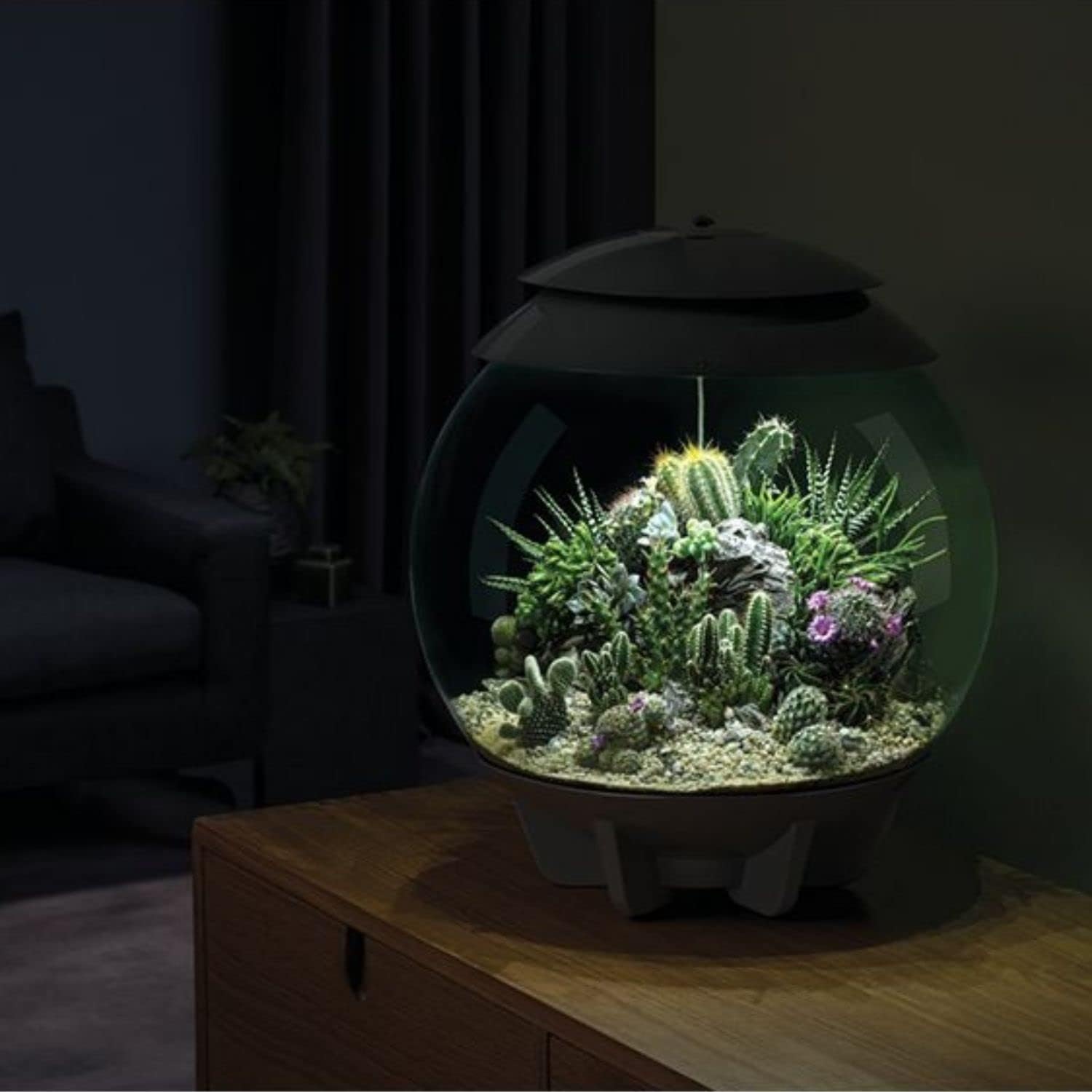 biOrb 46148 biOrb AIR 60 grau - automatisiertes Terrarium zur bequemen Pflege exotischer Pflanzen, LED-Beleuchtung, 60 l Fassungsvermögen