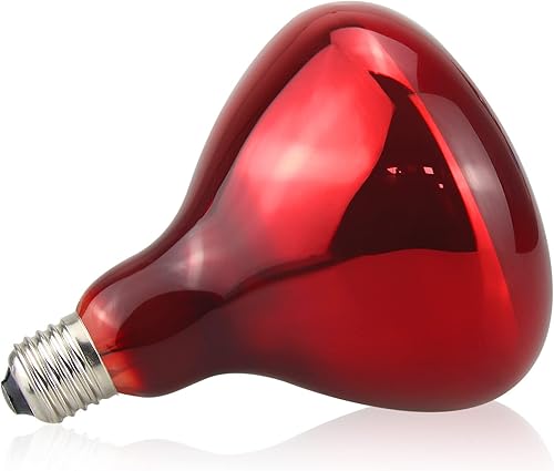 Bombilla infrarroja de la lámpara del calor 150W - Bombilla incandescente de la terapia de la luz roja