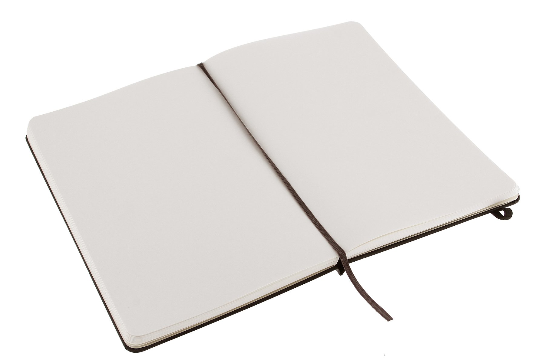Moleskine Mickey Notebook Plain Large