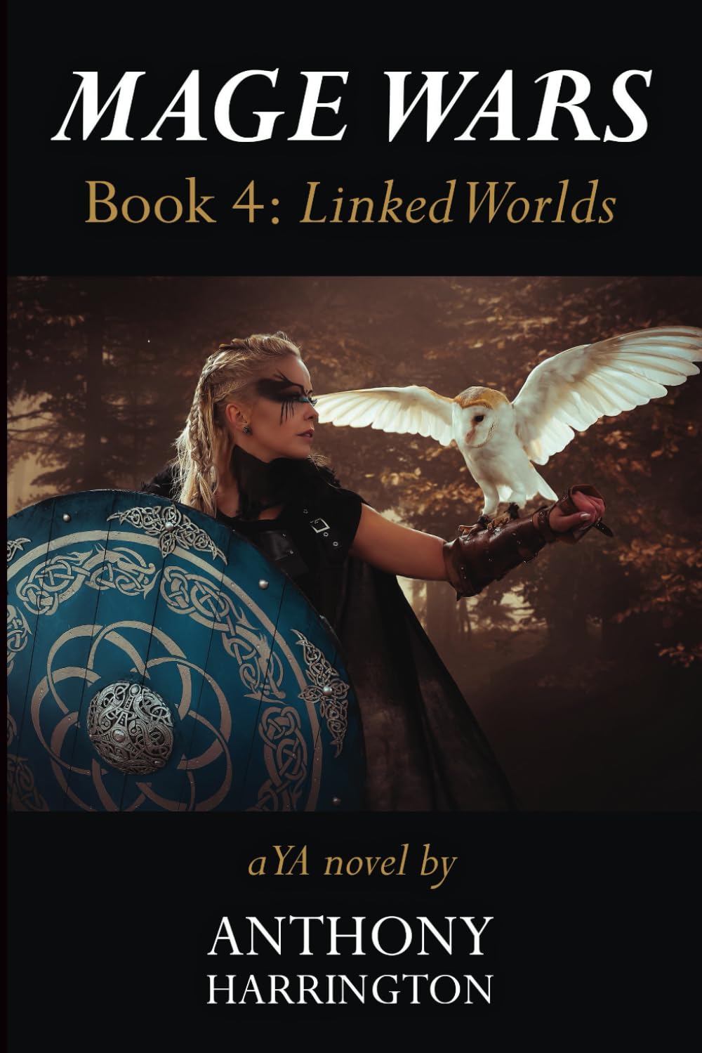 Mage Wars - Book 4: Linking Worlds