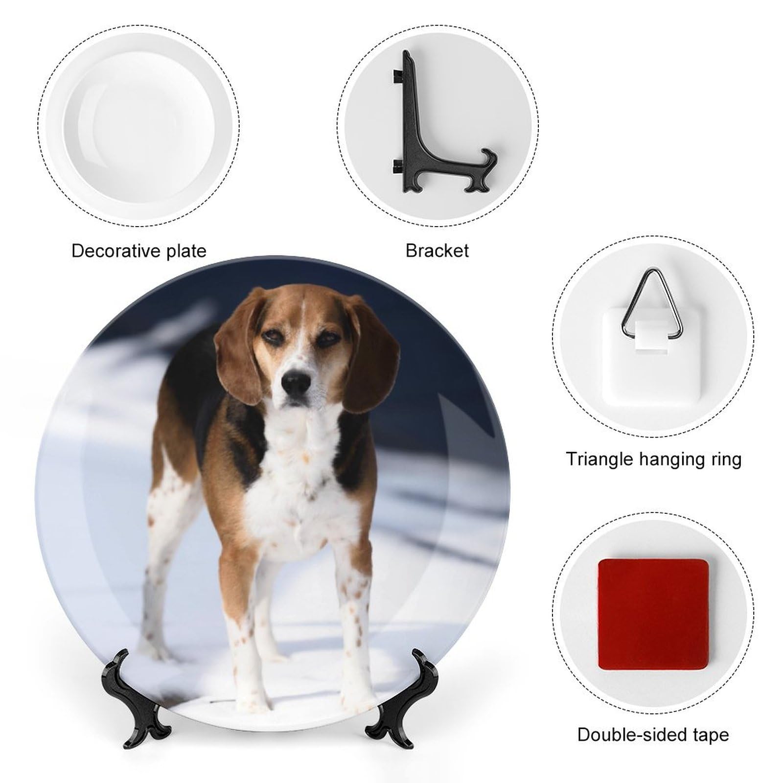 Amazon.com | Decorative Plate for Wall Hanging, Animal Beagle Dog