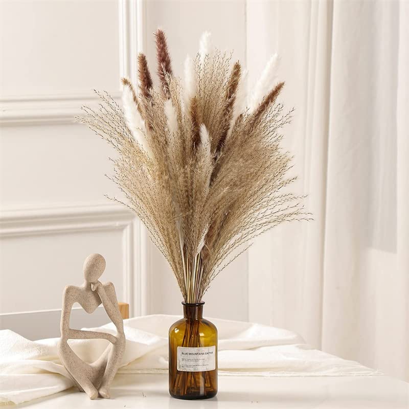 Pampas Grass Large 60pcs Dried Pampas Grass Decor miniatura 2