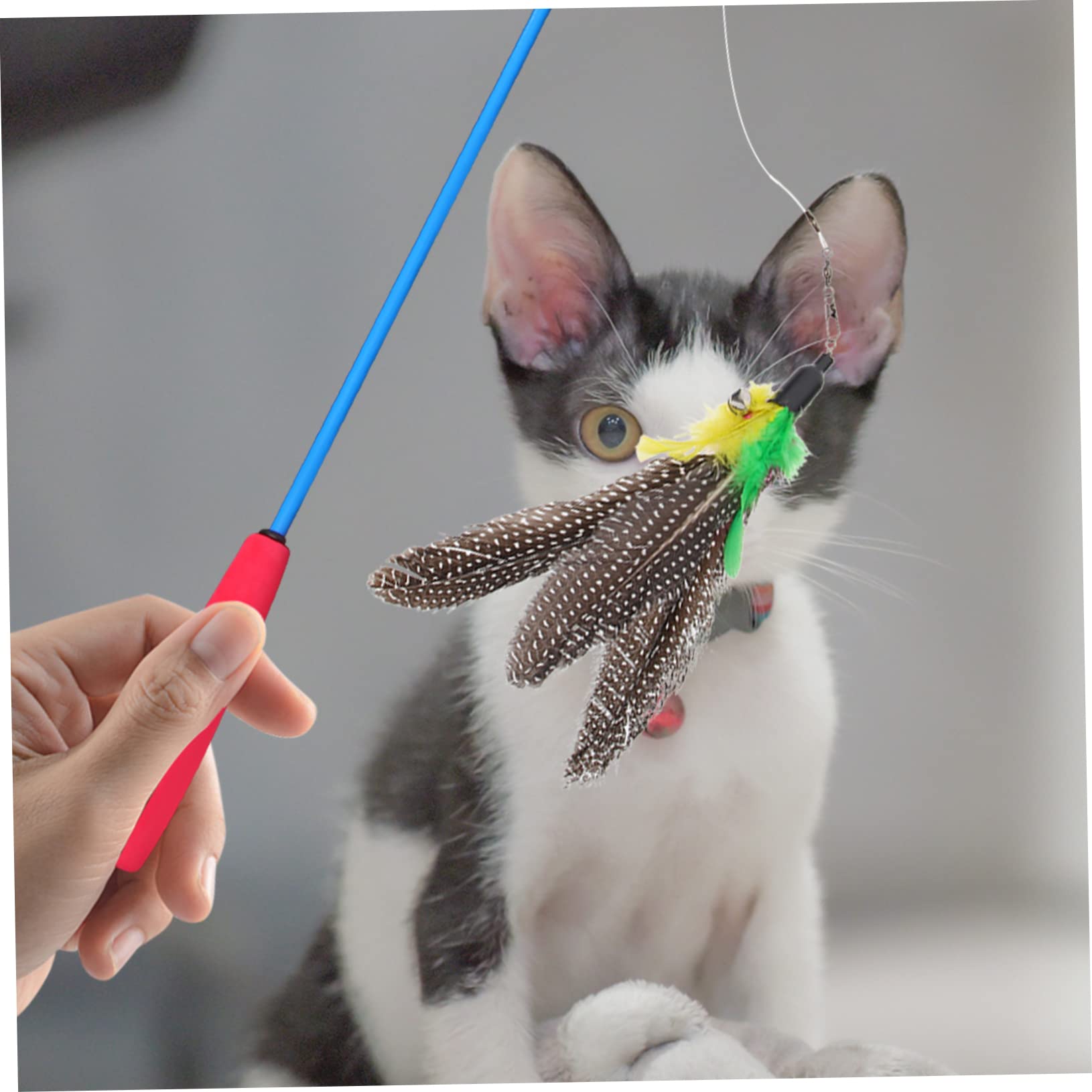 Mipcase 5sätze Katzenspielzeug Mit Telescopic Teaser- Für Interaktives Für Kätzchen Und Katzen Fördert Und Stärkt Die Bindung
