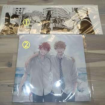 Free! Amazon特典 LPサイズディスク収納ケース | christchurchcbe.org