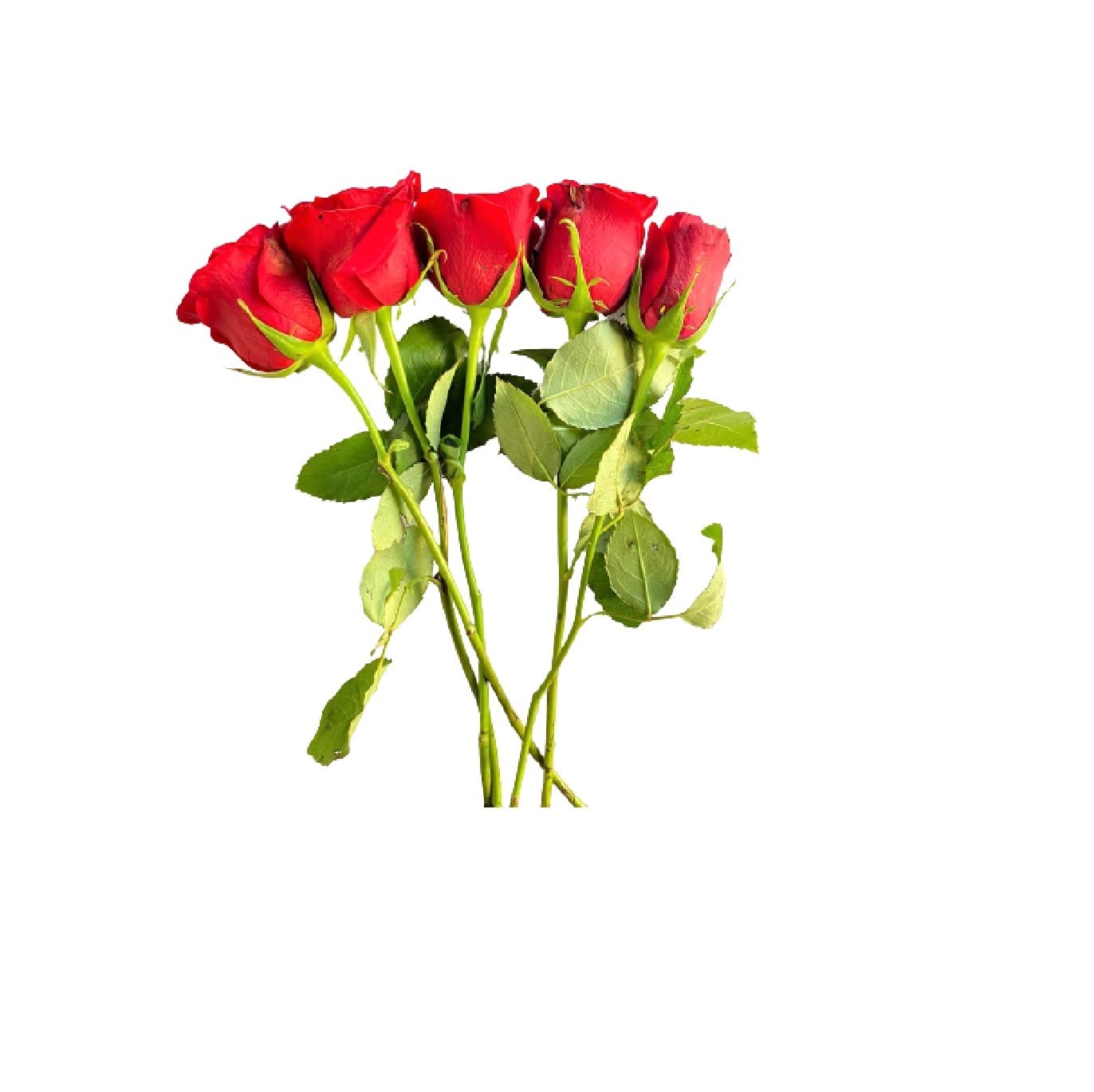 Red Rose Bouquet (Apx. 5Pcs)