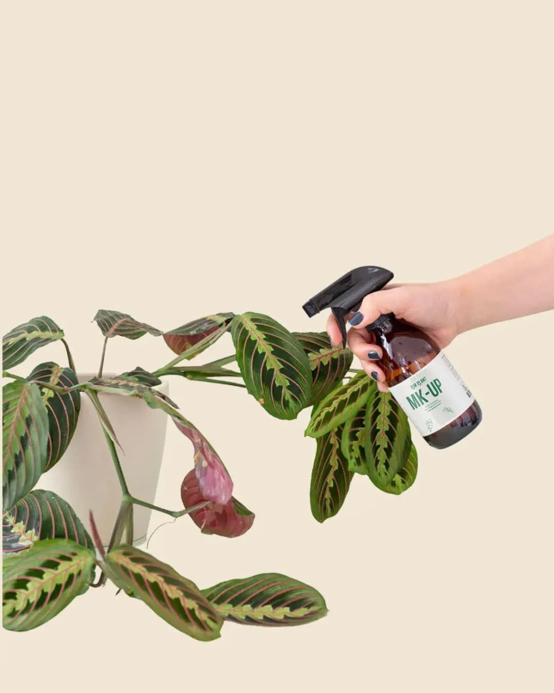 PUR PLANT Make Up 250 ml | Limpia Hojas y Bioprotector Natural | Brillo y Protección contra Plagas | Hecho en España