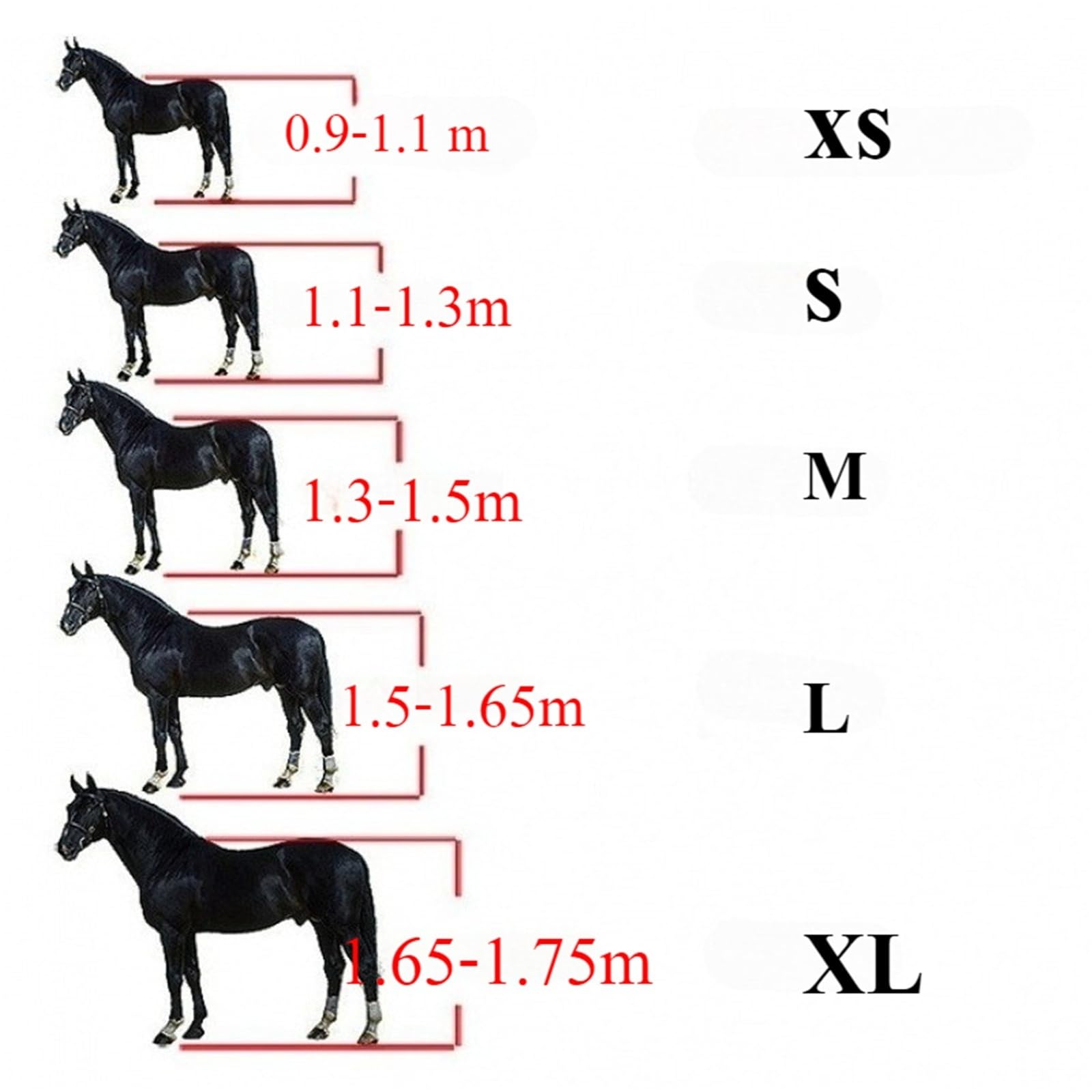 Cavezza Per Cavallo Testiera imbottita regolabile for forniture equine(Black XL)