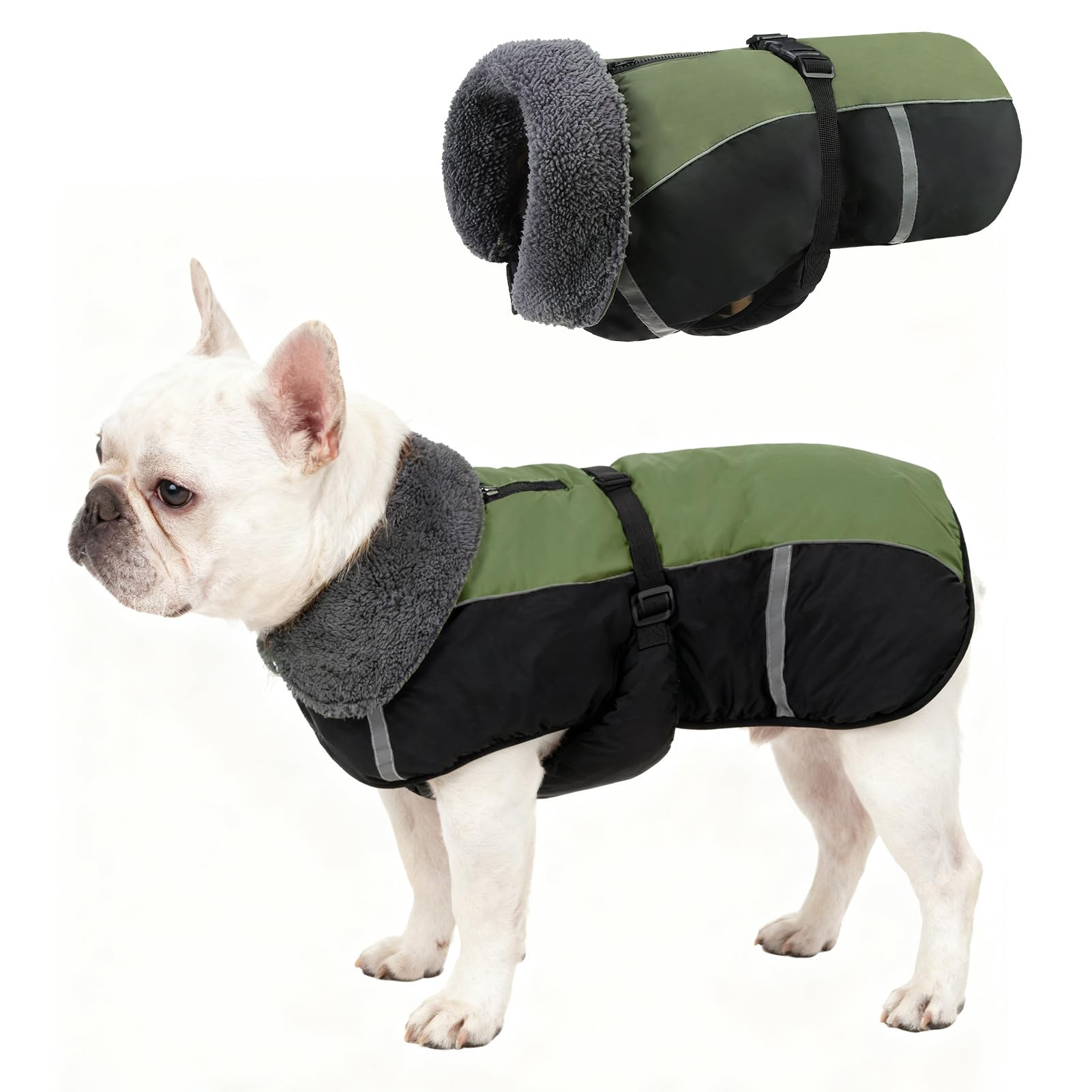 Coupe-vent pour chien SCENEREAL contre le froid et les balades de nuit