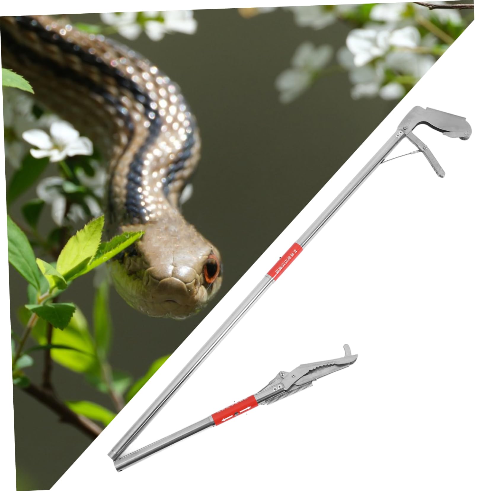 TOYANDONA Pinza Sezioni Inossidabile Serpenti in a Acciaio per Pieghevole Leggero Design 3 Catturare Serpenti ed Anguille in Ambienti Esterni