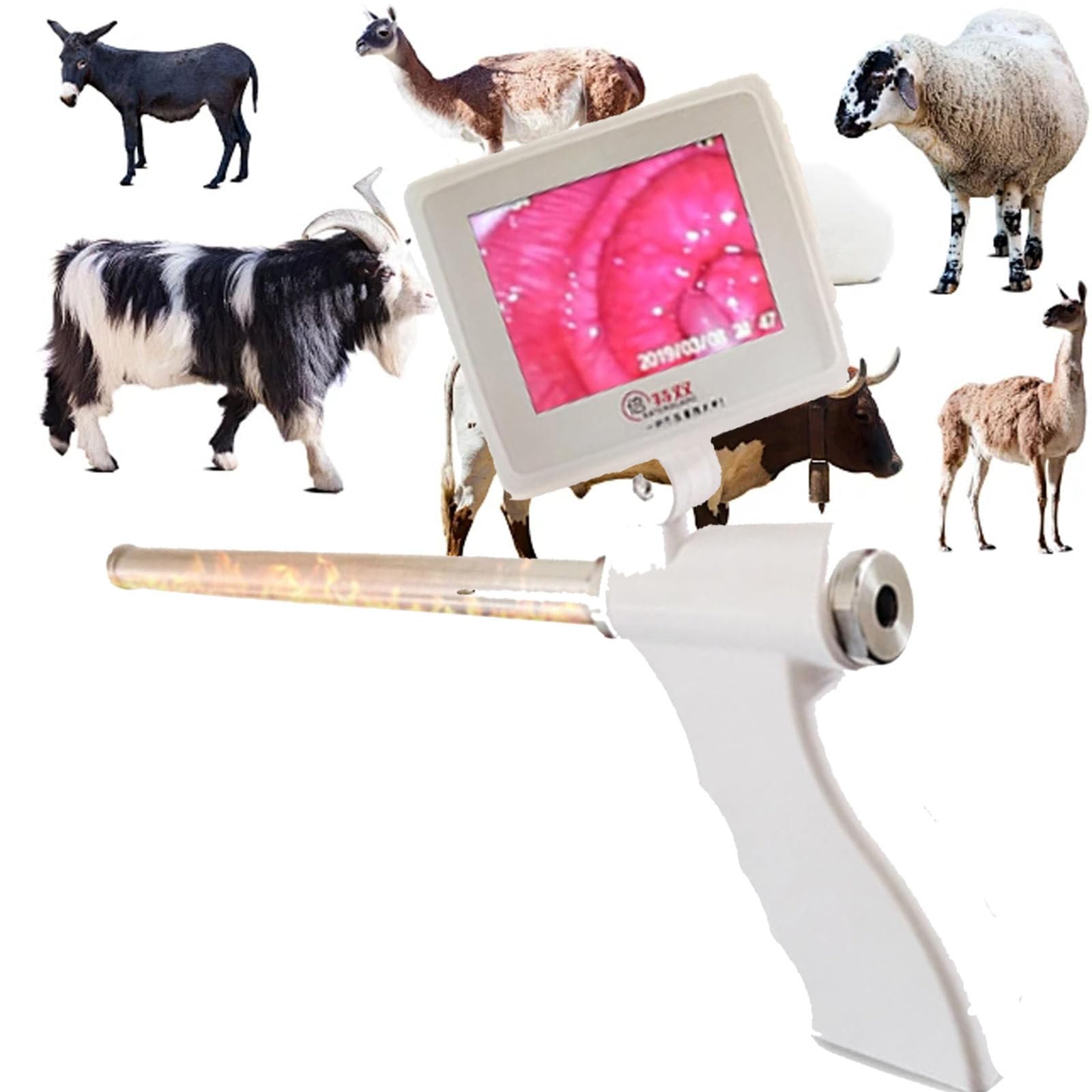 Zestaw do inseminacji dla krów Bydło,pistolet do inseminacji wizualnej z ekranem pikselowym,profesjonalne narzędzia rolnicze do inseminacji weterynaryjnej,Trumpet