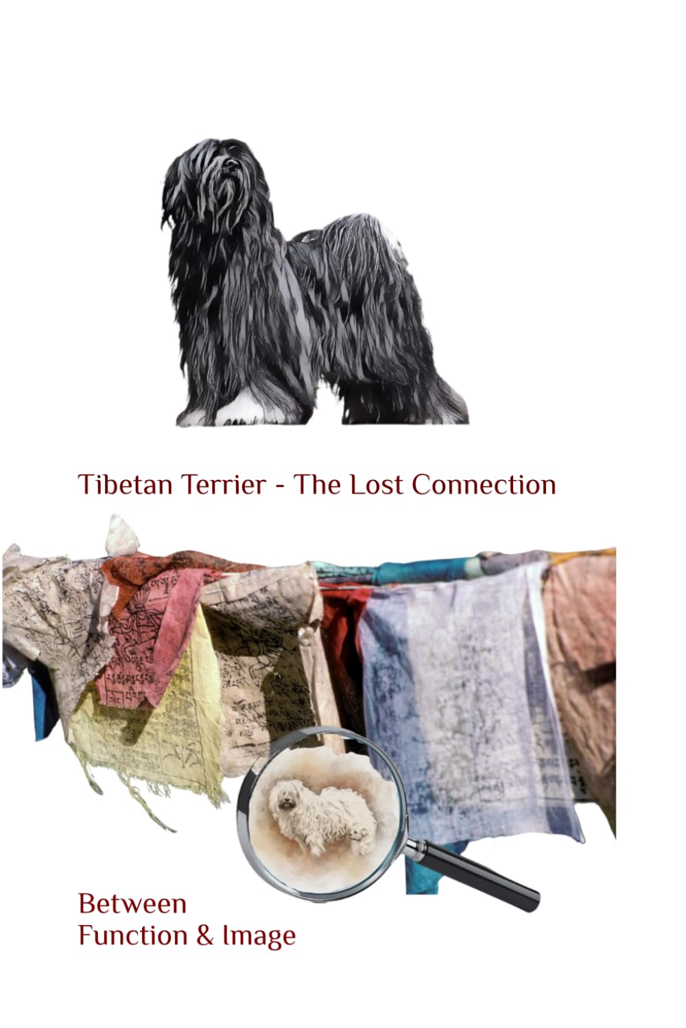 Tibetan Terrier - The Lost Connection: Between Function and Image