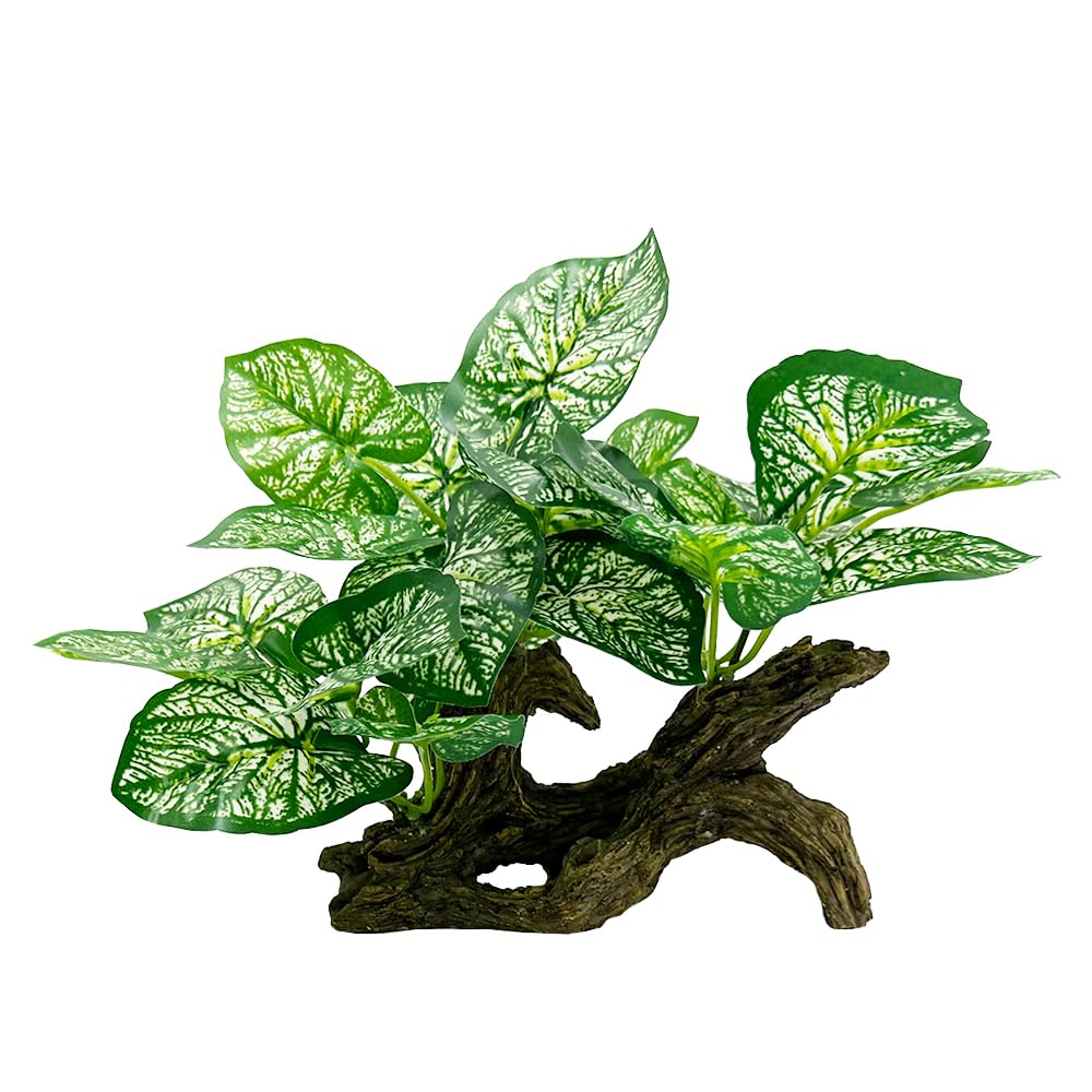 Smoothedo-Pets Reptile Plants Fish Tank Large Decorations Betta Fish/Bugs/Aquarium/Turtle/Reptile Decoration 5inch Shrimp Cichlid Hiding Breeding Spawning Driftwood Ornaments (White Leaf/Wood)