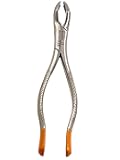 Dental Tooth Extracting Forceps Extraction No. 53R Upper 1st and 2nd Molars Extraction Forceps Pliers Style - German Stainless Steel Dental Instruments
