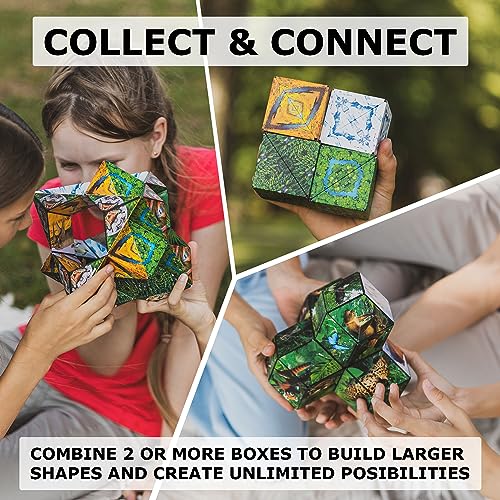Image of Shashibo DODECA Magnetic Puzzle Cube, Sensory Fidget Toy for Adults & Kids, Stress Relief Fidget Toy for All Ages, Cool Fidget Toys for Desk, Shape Shifting Box, 100+ Possible Shapes