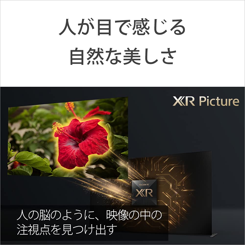 SONY 4K有機EL 2021年 TVネット動画 b091p97gmc.jpg