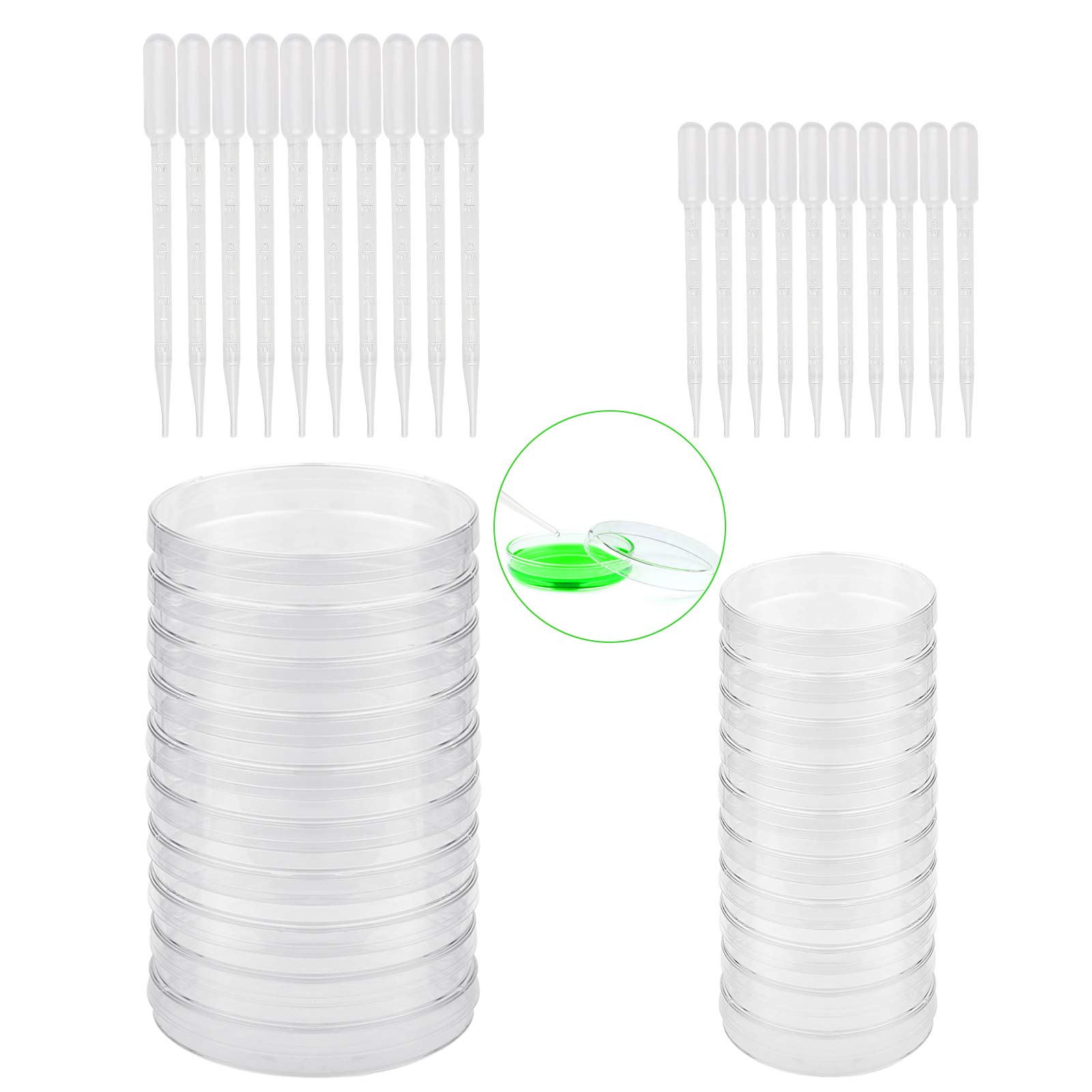 20 Boîtes De Pétri Transparentes Avec Couvercles + 20 Pipettes Transfert - Labo Biologie Expérience - 90mm & 60mm