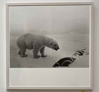 Amazon.co.jp: 杉本博司 HIROSHI SUGIMOTO ポスター POLAR BEAR