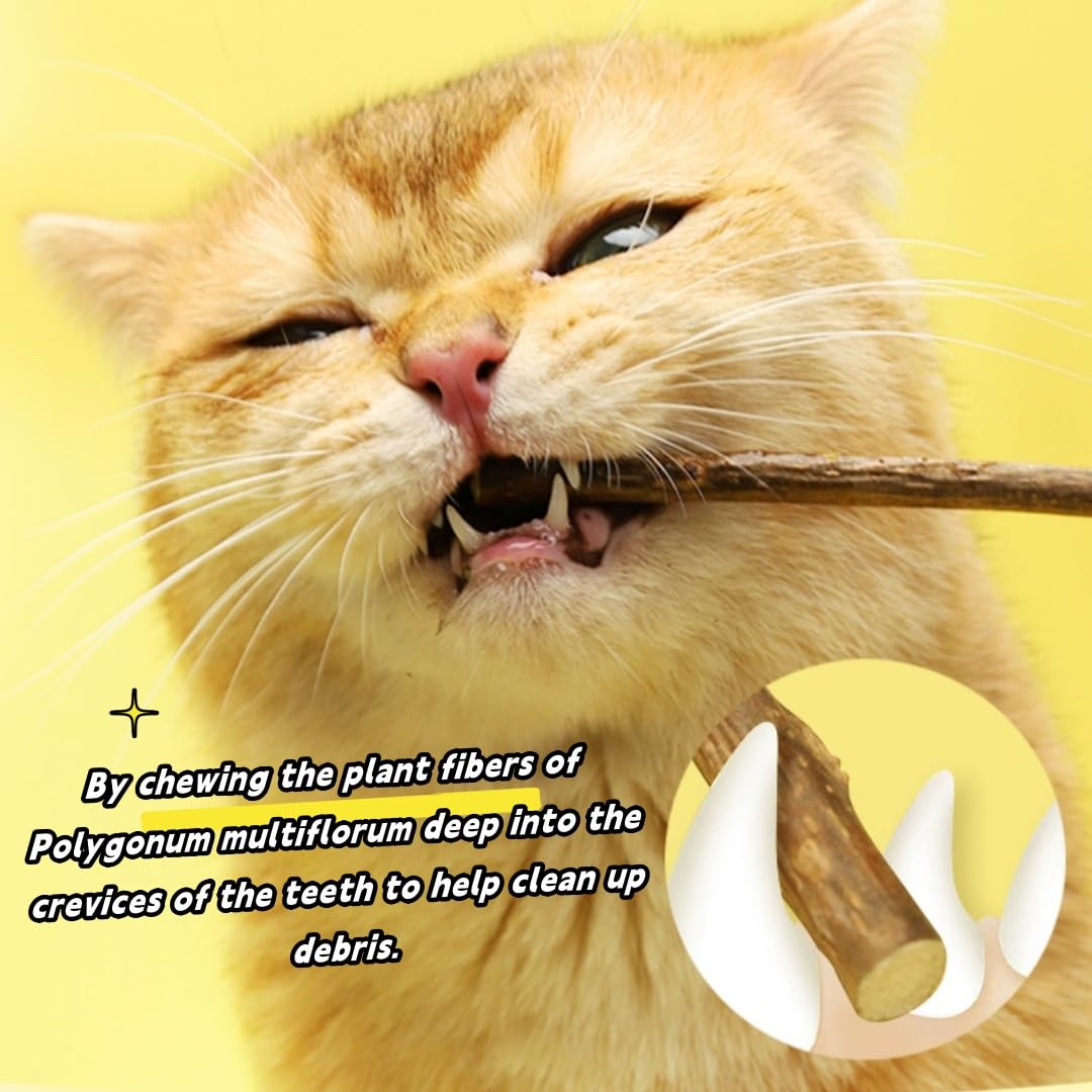 Bâtonnets d'Herbe à Chat Matatabi - 40pcs Naturels Bois Grincement de Dents
