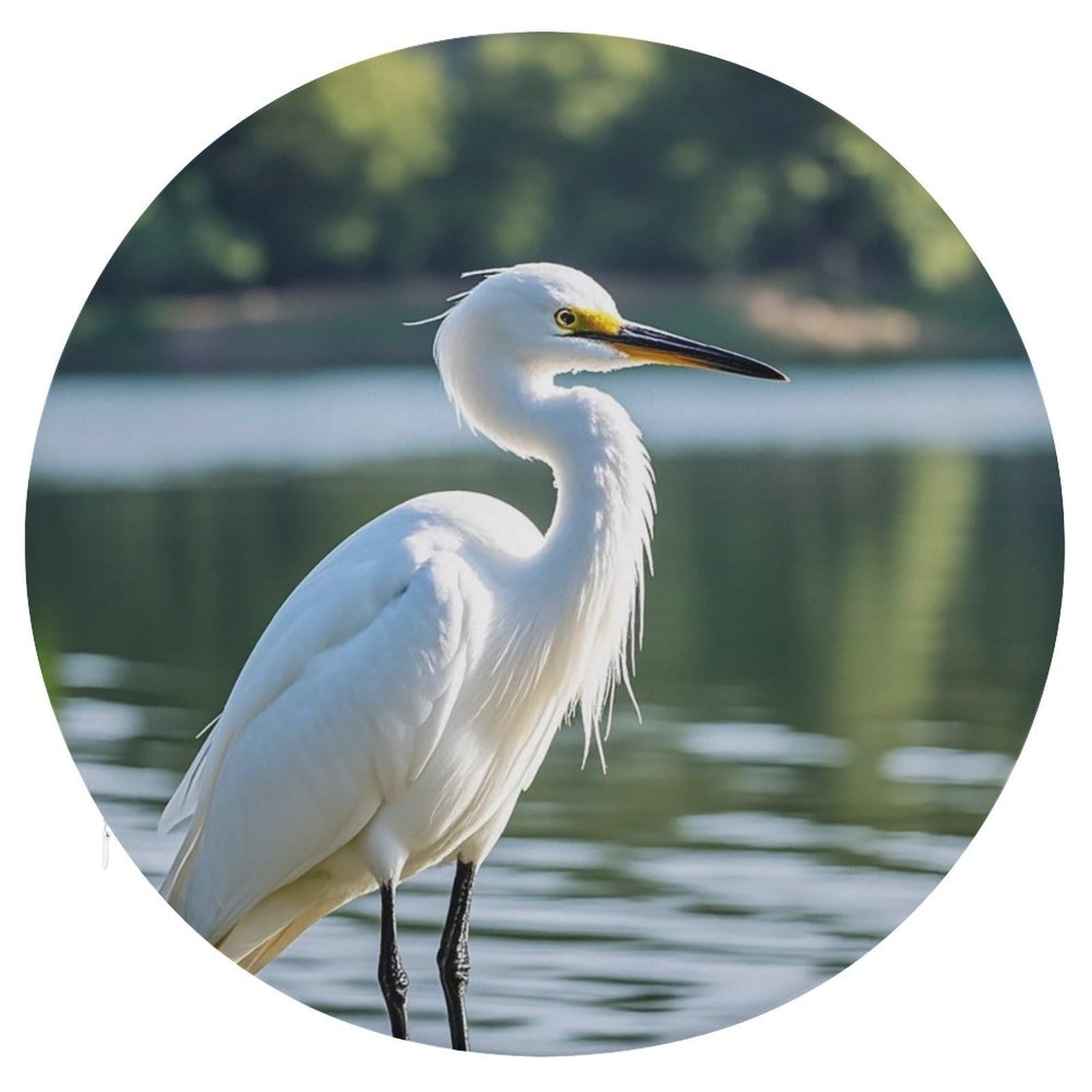 FekiLoot Heron Seat Cushion Comfort Memory Foam Seat Cushion Chair Pad Soft Round Stool Cushion Chair Cushion Removable Washable Cover for Home Office Outdoor Bistro 15.35 Inch