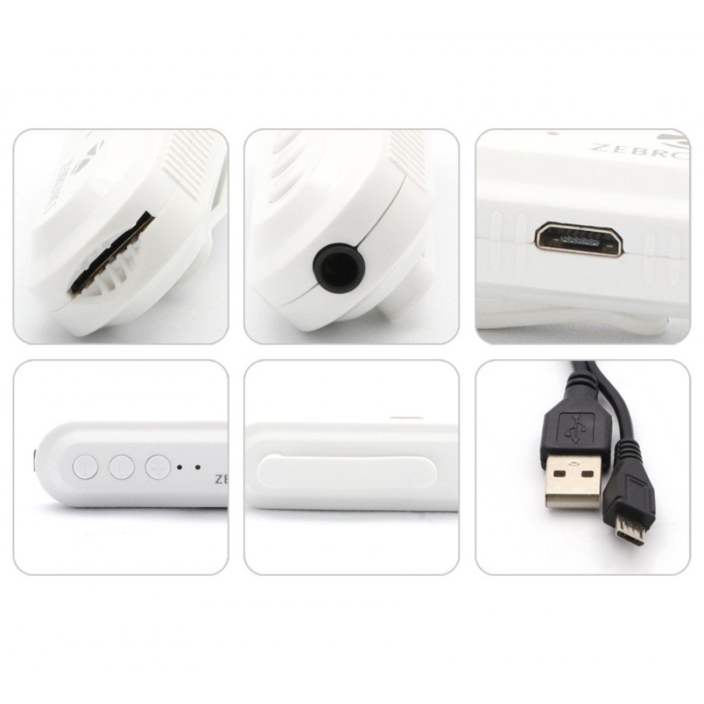 Zebronics Bluetooth Earphone with Micro 