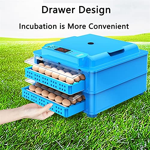 YAWEDA Vollautomatische Inkubator, Brutmaschine Eier automatisch drehen Brutapparat mit LED Temperaturanzeige Temperatur… – Bild 5