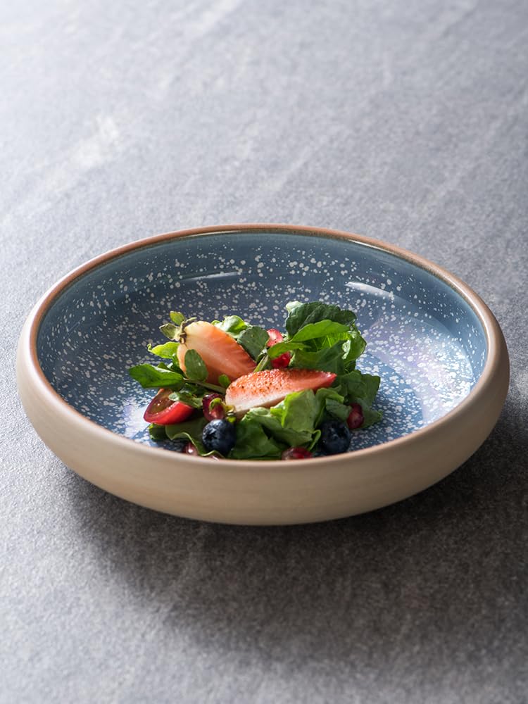 Talerz na przekąski Pojemniki na przekąski Japoński kreatywny ceramiczny okrągły talerz Talerz domowy Talerz na warzywa Talerz na sałatkę Japoński talerz na sashimi Talerz na zacho(B)