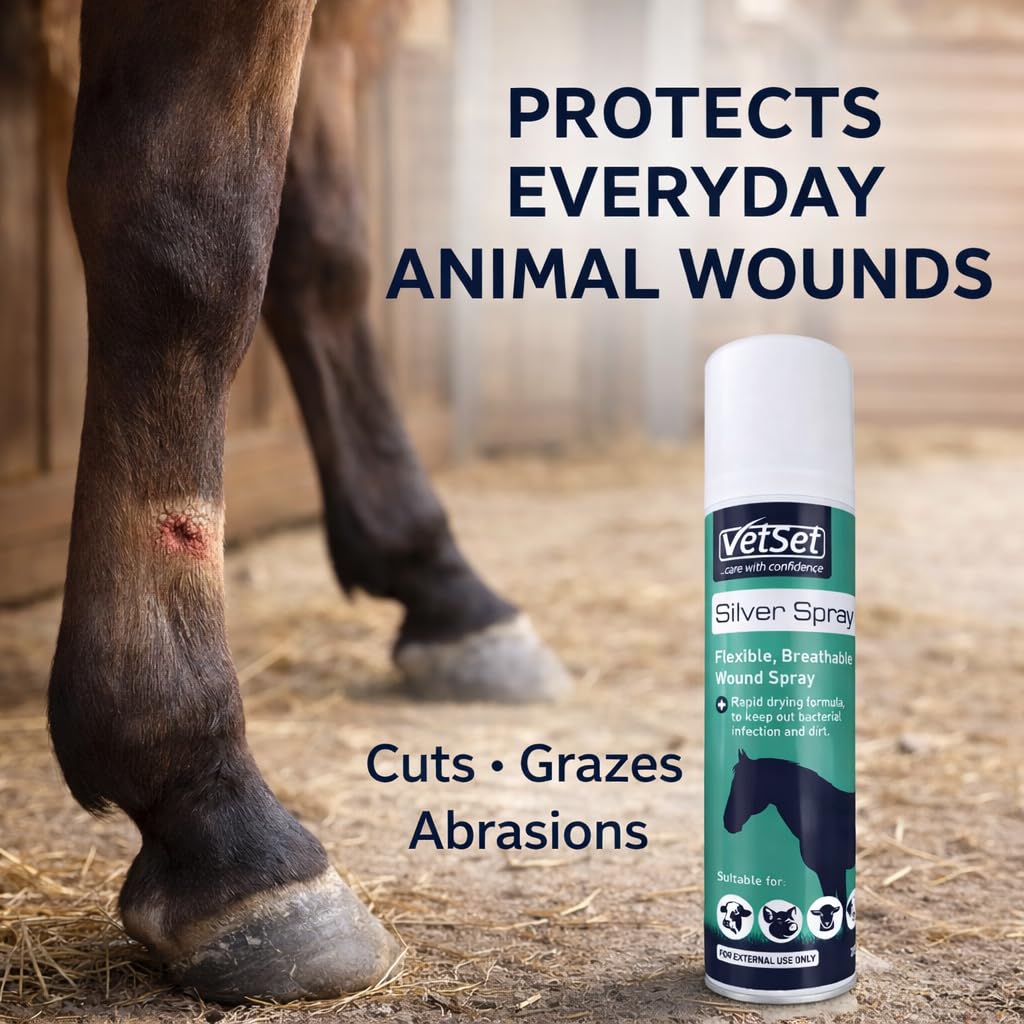 VetSet Silver Aluminium Spray for Animal Wounds | Veterinary Antiseptic Silver Spray for Horses, Dogs, Livestock & Equine Use | Breathable Protective Coating for External Wounds & Abrasions, 250ml — view 2