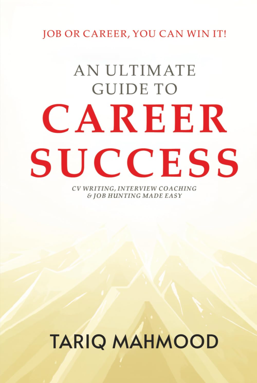 An Ultimate Guide to Career Success