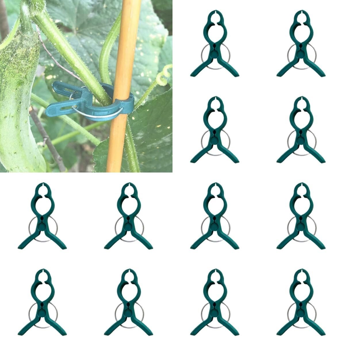 Secured Plastic Plant Clips, Plant Support Clips Plant Clips for Climbing Plants, Plant Fixing Clips Tomato Clips for String Trellis, Garden Clips Vine Fixing Clip Plant Vine Clips (Color : B# Large
