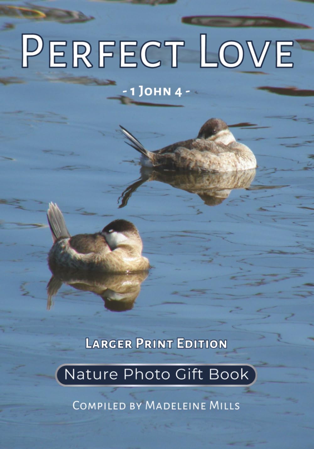 Perfect Love: 1 John 4 - Nature Photo Gift Book - Larger Print Edition (Wedding Hymne Series)