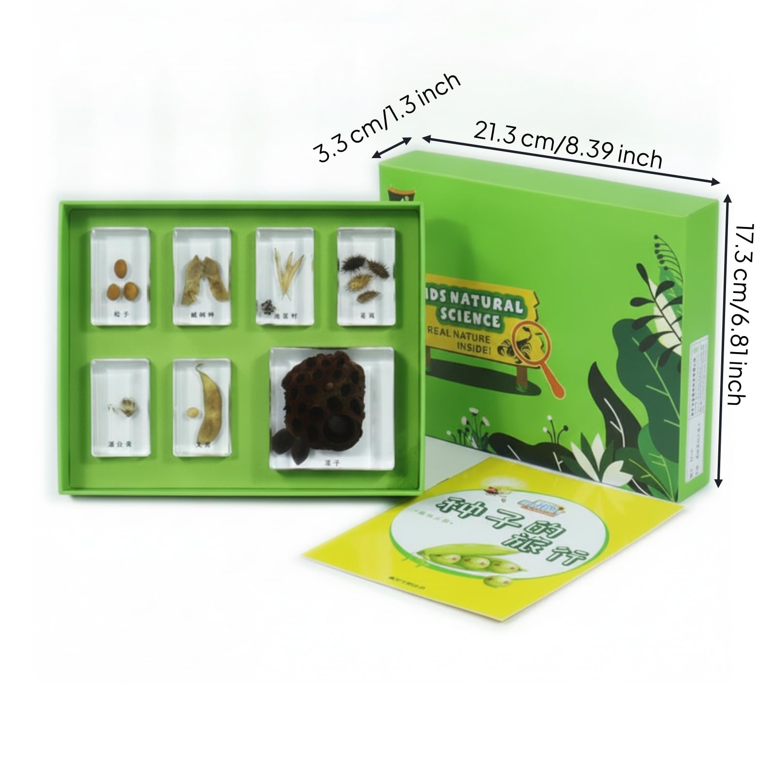 harayaa Kit de Ciencias para Niños Juego de Bloques de Resina Caja Clasificadora Tarjetas Educativas Diseño Que Facilita Observación Segura Adecuado para Aula, Array, Viaje De Semillas