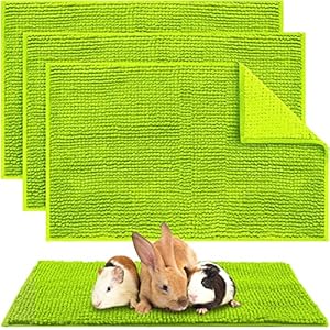 Amylove 4 Stück Meerschweinchen Einlagen Grün