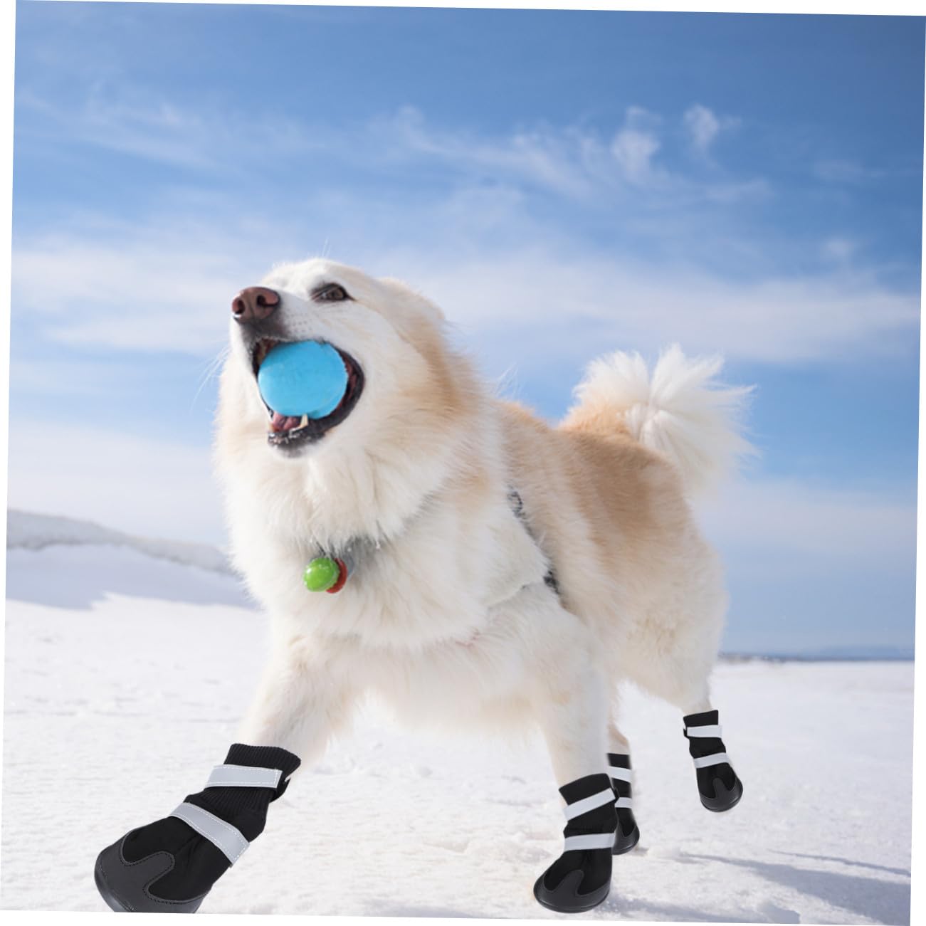 BESPORTBLE 8 STK Haustier Hund Winterschuhe Welpenstiefel für kleine Hunde Haustierschuhe für kleine Hunde hundeschuhe hundepfote Dog Shoes Stiefel für Haustierhunde Hund warme Stiefel Black
