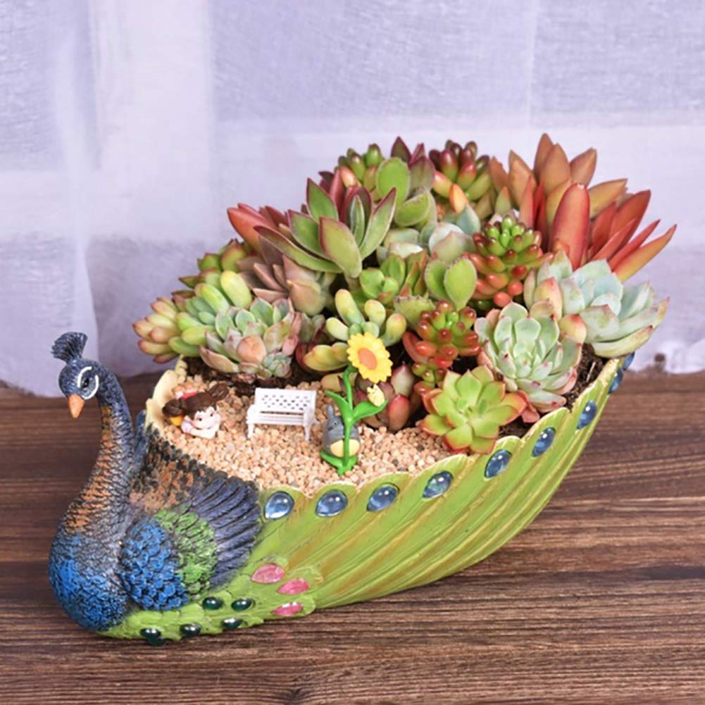 Pot de jardinière succulente paon en résine pour plante grasse et décoration maison