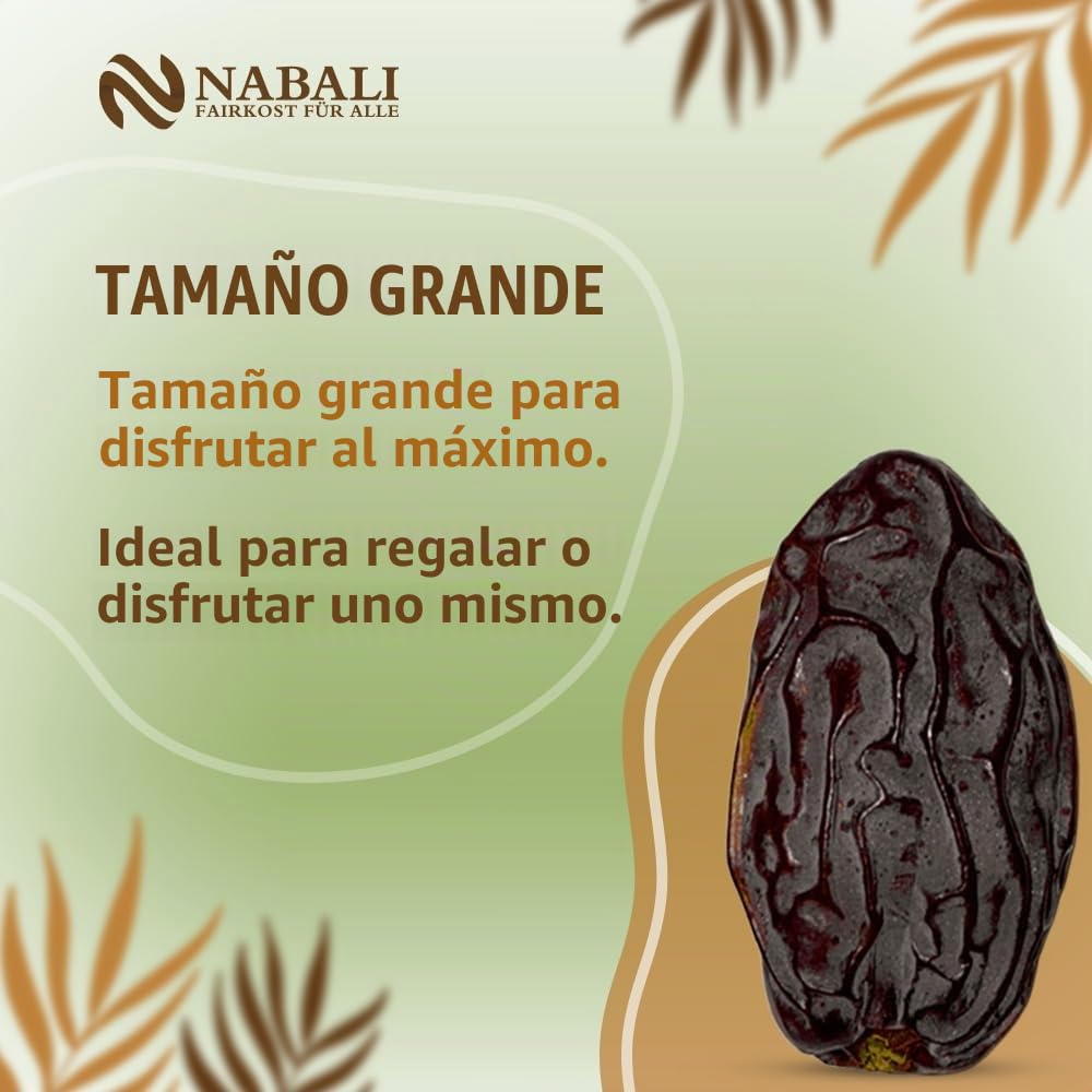 NABALI FAIRKOST Medjoul dátiles de Palestina - 100% natural aromático Tradicional Fresco & Oriental I sin conservantes I vegano I dátiles Medjoul jumbo (5 kg)