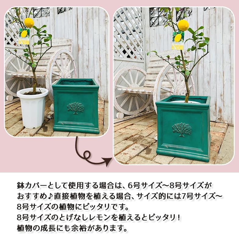 Amazon.co.jp: スクエアポット フォレスト8号 ファイバーセメント鉢
