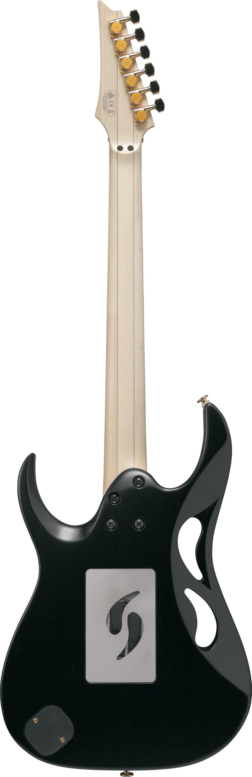 Amazon.com: Ibanez Steve Vai Signature PIA3761 Electric Guitar