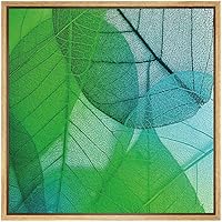 SIGNWIN Framed Canvas Wall Art Blue, Green Transparent Spring Leaves Botanical Plants Photography Minimalism Modern XRay Relax/Calm for Living Room, Bedroom, Office - 16x16 inches