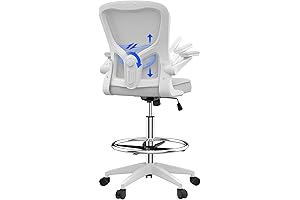 FLEXISPOT Home Office Chair with Adjustable Lumbar Support
