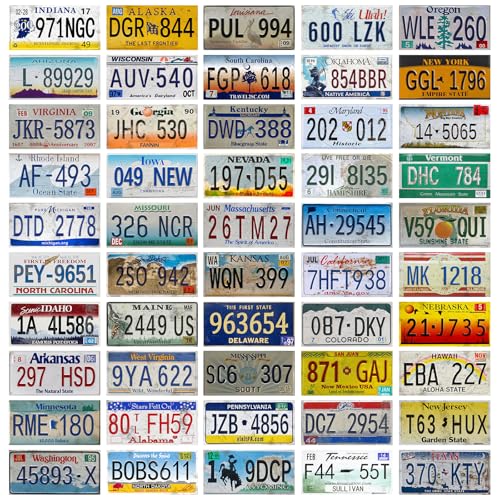 Seeyoo 50pcs Vintage Fake Car Plates - 12x6 Inch Replica