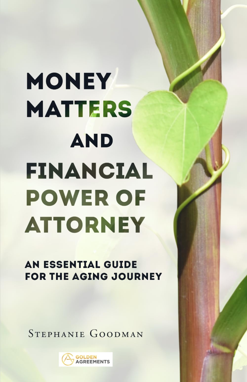 Money Matters and Financial Power of Attorney: An Essential Guide for the Aging Journey (Golden Agreements: Planning Together, Aging with Clarity and Peace of Mind)