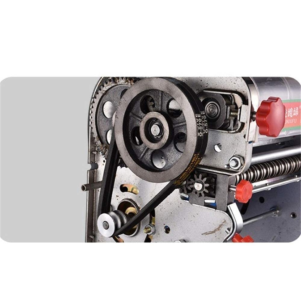 Macchina per Pasta, Macchina per Pasta -220V Macchina per Tagliare la Pasta elettrica Commerciale in Acciaio Inossidabile Macchina per Tagliare la Pasta con Rullo per Pasta Macchine per Pasta manuali