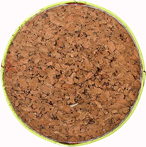 Phinix Fast-Pitch Softballs Cork Core For Practice, Competitions 11 Inch （Box Of 6） #TOP1