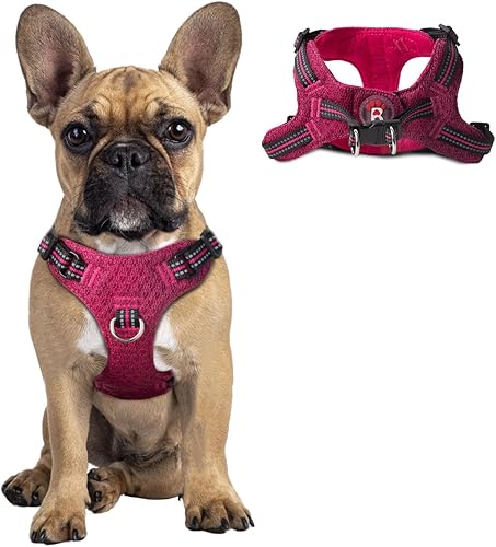 Miniatura 104 de Arnés para perro, arnés reflectante ajustable para cachorro, transpirable, suave para perros pequeños y medianos, gatos, rojo, S Negro