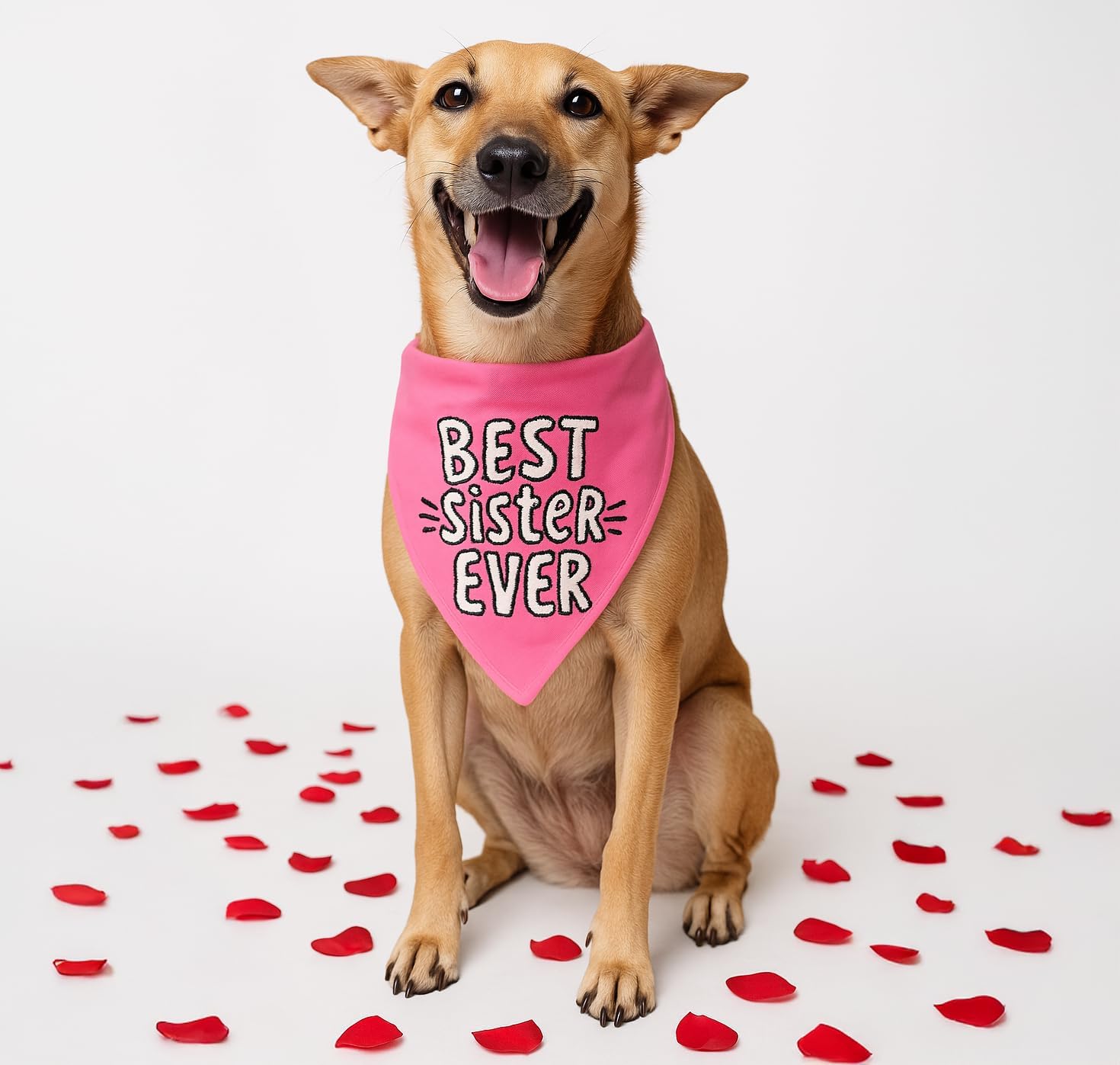 Rakhi Raksha Bandhan Best Sister Ever Bandana for Dogs with Adjustable Dog Collar (Pink, M-L)