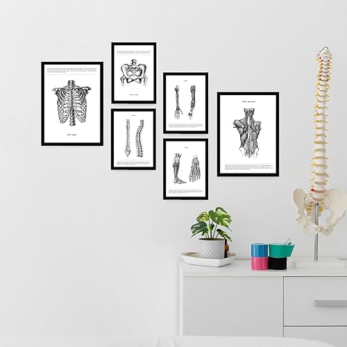 Miniatura 5 de nacnic Juego de 6 carteles de anatomía. Colección de Estampados con estética collage para decoración de interiores. Diseño de interiores y