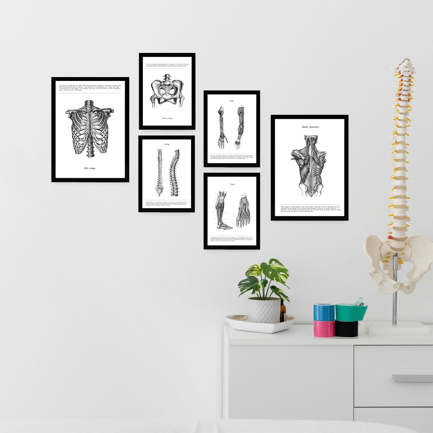heilkee Line Art Decorazione da parete Anatomia Poster terapia ufficio decorazione astratta Boho arte murale minimalista decorazione della stanza, colonna vertebrale, bacino, dottore, regalo set di 4