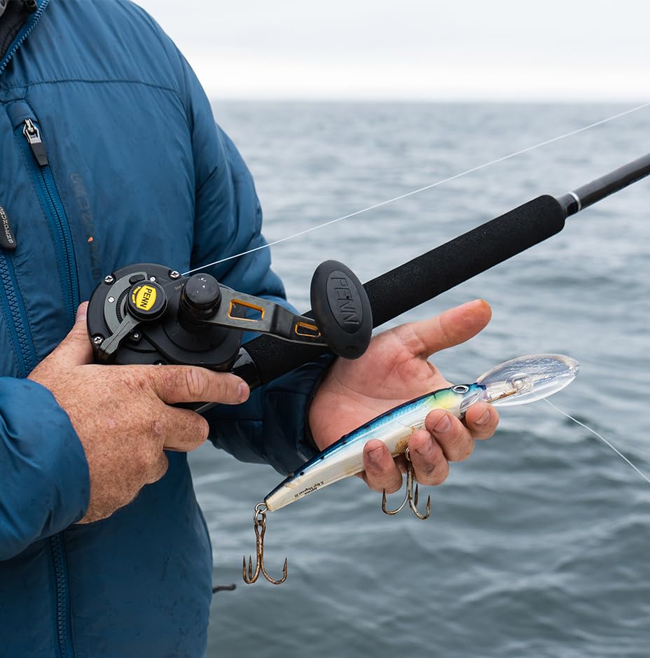 Amazon.co.jp: ラパラ Rapala X-Rap Magnum 40 イカダイブ XRMAG40HDSQ