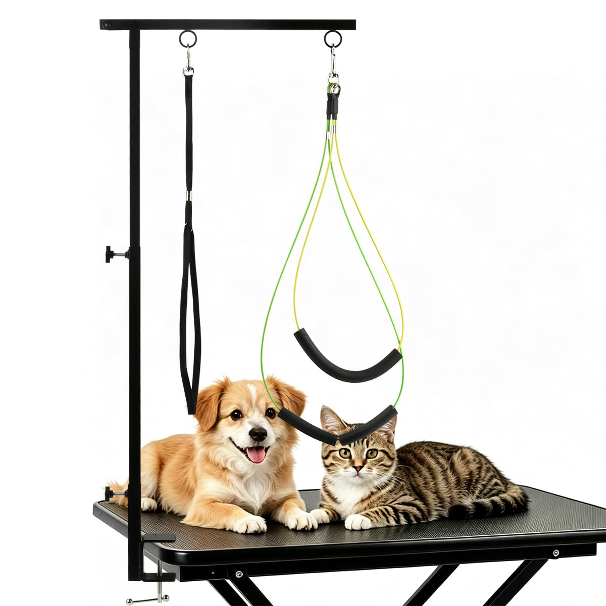DODUOS Dog Grooming Arm with Clamp, Dog Grooming Table Arm - 36.6 inch Height Adjustable, Foldable Pet Groomings arms with Dogs Groomings Loop and No Sit Haunch Holder for Large and Small Dogs, Cats